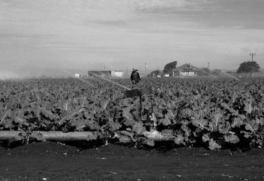 Shining a bright light on substandard housing in Salinas, California