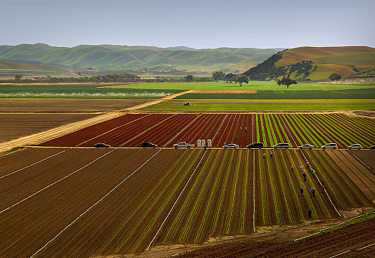 Cropped photo by Malcolm Carlaw via Flickr