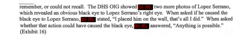 A portion of the investigation report from the Department of Homeland Security’s inspector general in the Abel Lopez Serrano cas