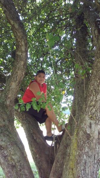 In his hunt for a better signal, Brandon Garcia, 13, a Plant City migrant student, often took his virtual classes early in the pandemic while perched in this apple tree in rural Michigan, where the family works during blueberry season.