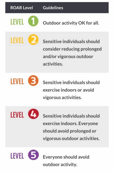 A color-coded Real-time Outdoor Activity Risk provides guidelines for what to do when the air quality is less than good. Sensitive individuals can include children, seniors and people with existing respiratory issues like asthma. Screenshot San Joaquin Valley Air District