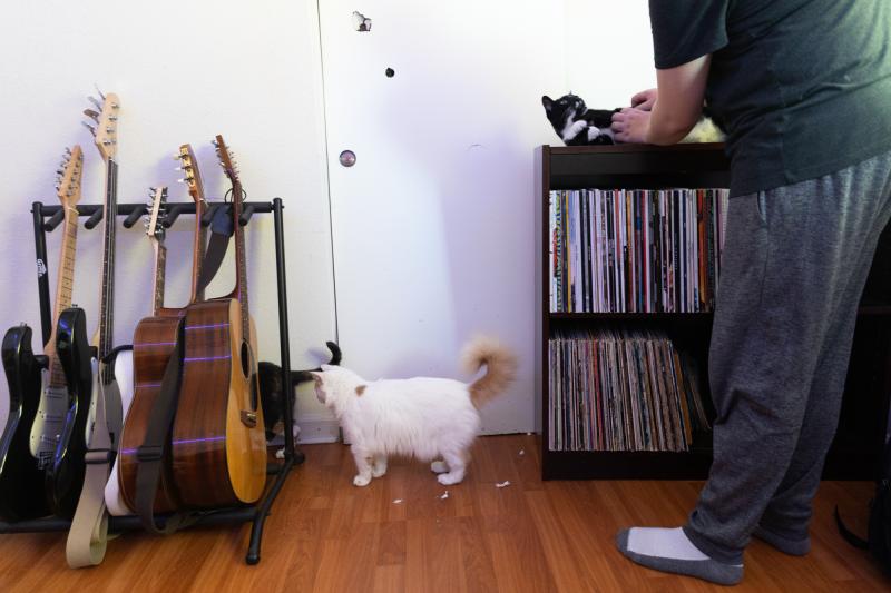 Brian pets his cat Yin Yang while others scurry about his guitars in his music studio in his Palo Alto home on Aug. 22, 2022. Photo by Magali Gauthier.