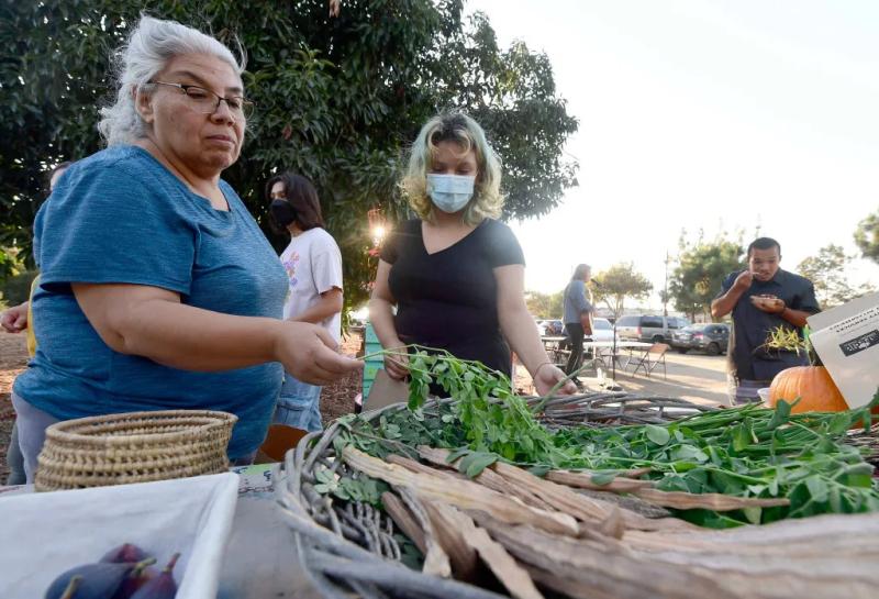 Customers Maria Martinez and her niece Isabella Acosta browse through some of the vegetables and herbs grown at the the Lopez Urban Farm during the launch of the daily farmers market, Bodega Comunitaria, in Pomona on Wednesday, Aug. 17, 2022. (Photo by Will Lester, Inland Valley Daily Bulletin/SCNG)