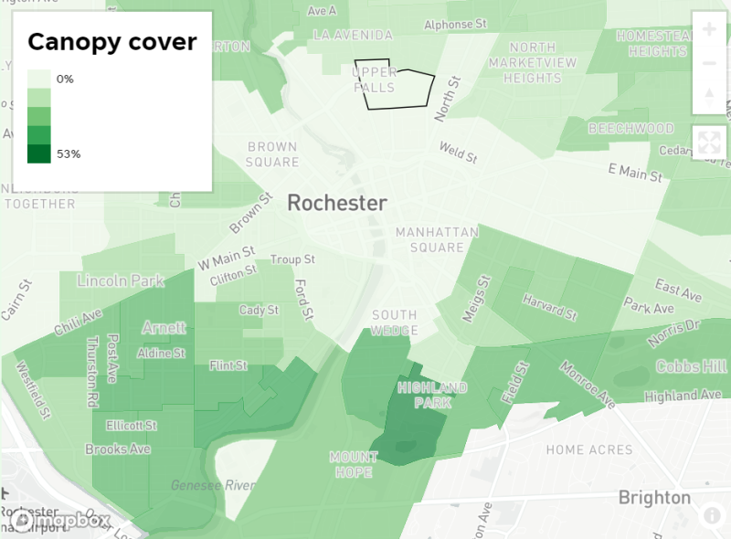 The neighborhood around Joseph Avenue and Upper Falls Boulevard has a tree canopy covering 18% of the land, one of the lowest marks in the city.