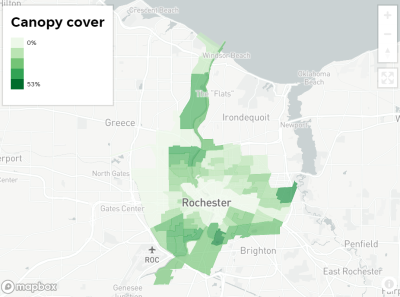 A similar pattern can be observed around Rochester: neighborhoods with more renters, more poverty and fewer white people have fewer and smaller trees, with observable effects on air quality, temperature and health.