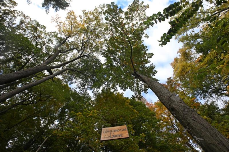 A sign hung from the trees marks the entrance trail into Washington Grove off of Nunda Blvd in Rochester Monday, Nov. 1, 2021. SHAWN DOWD, DEMOCRAT AND CHRONICLE