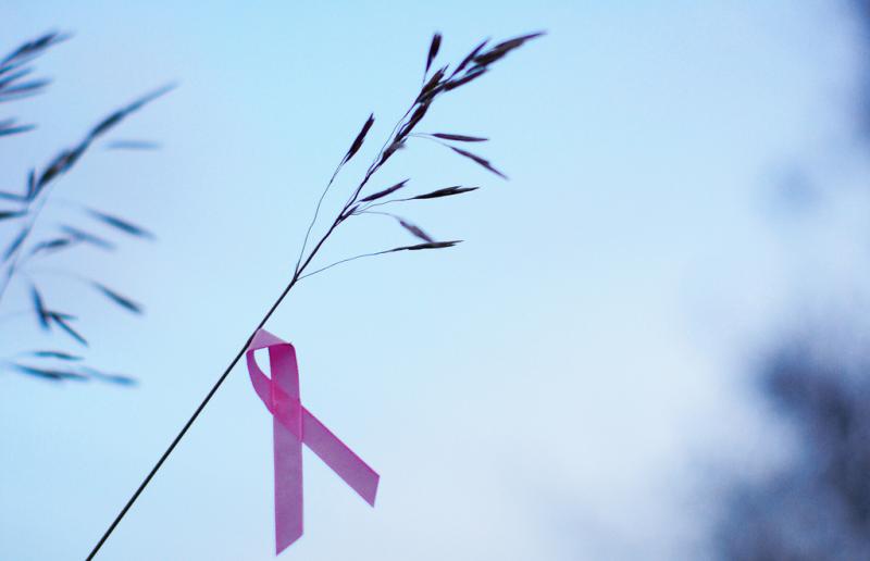 breast cancer, Avastin, reporting on health