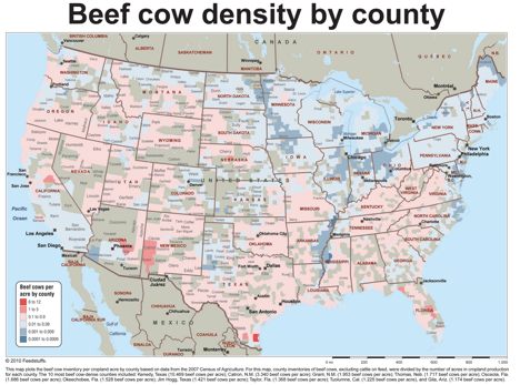 cow, MRSA, william heisel, reporting on health, hospital acquired infections, patient safety